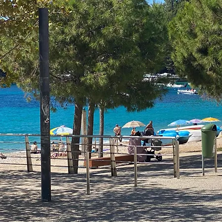 Comfort Himare