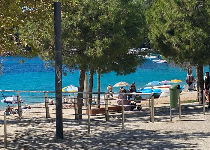 Comfort Himare